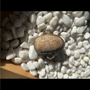 Unique Seashell Trinket Box